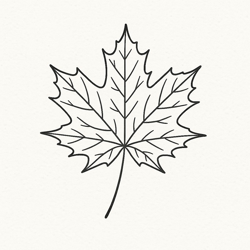 Cold Press Paper