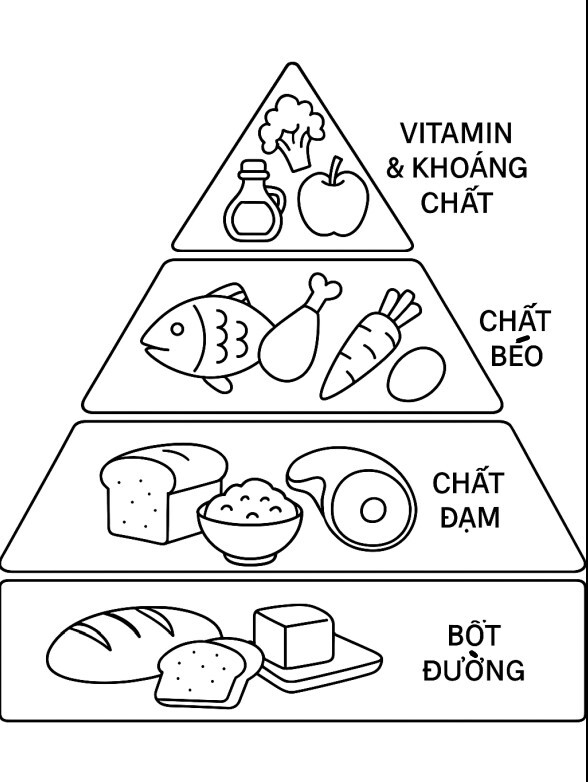 Nutrition Pyramid Style