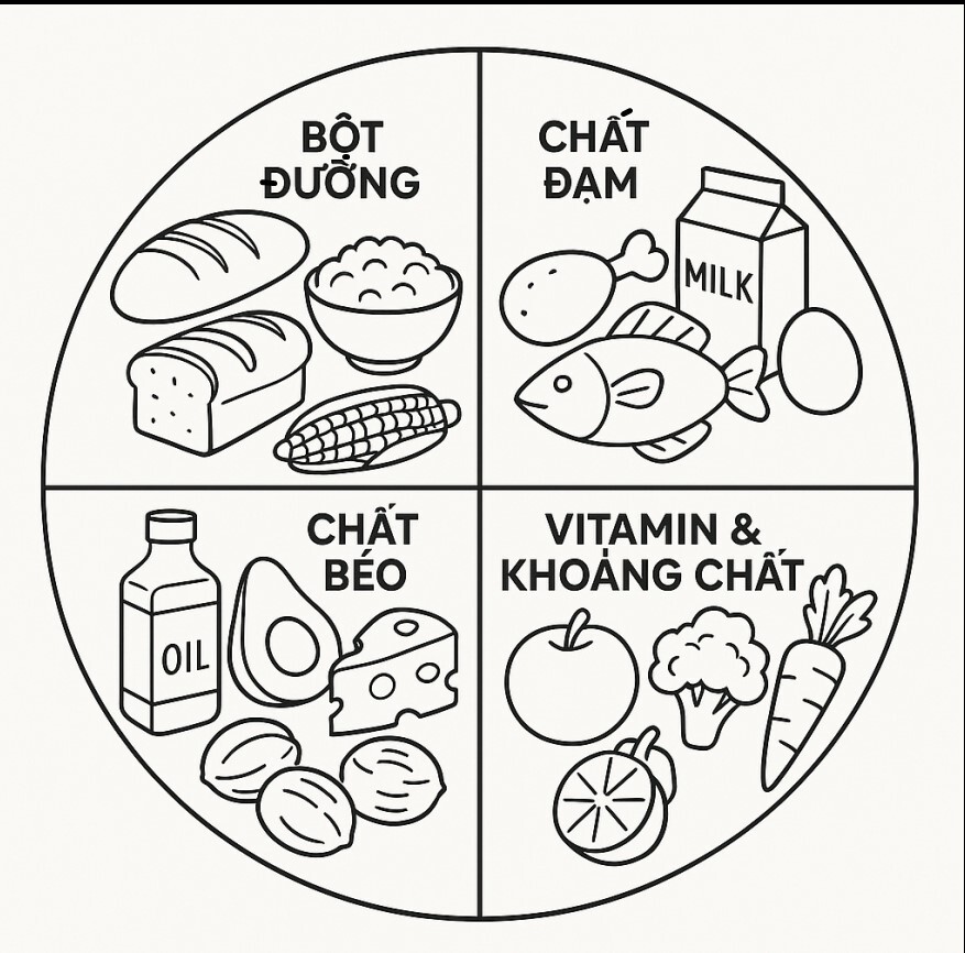 4 Food Groups Coloring Pages 2026 to Help Kids Understand Nutrition 16