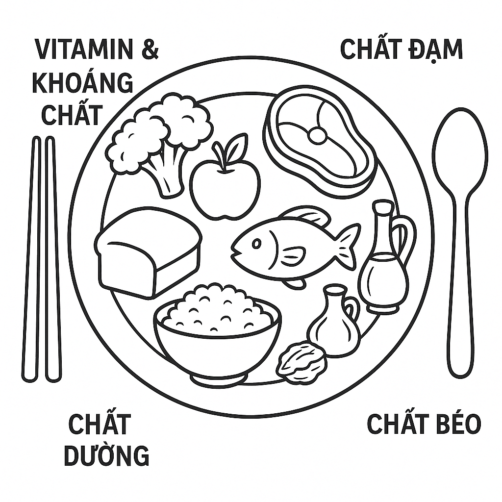 Nutrition Plate Style