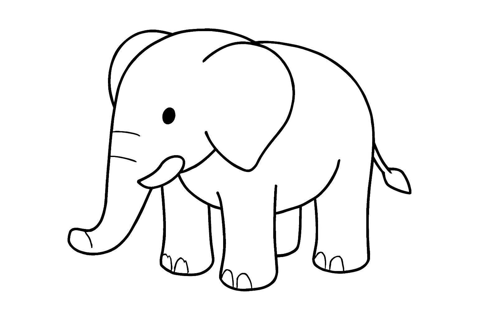3D Animals
