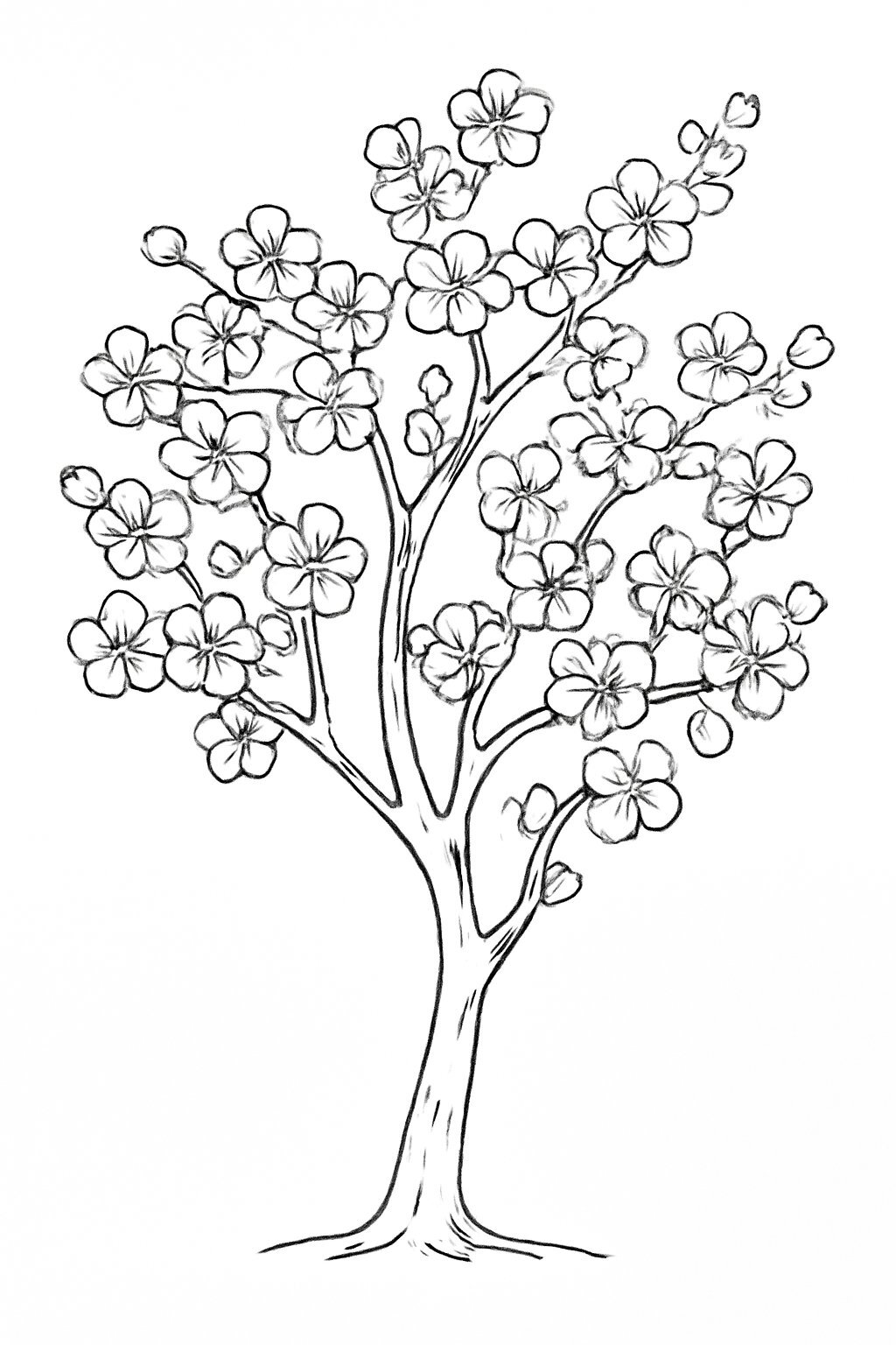 Cherry Blossom Tree