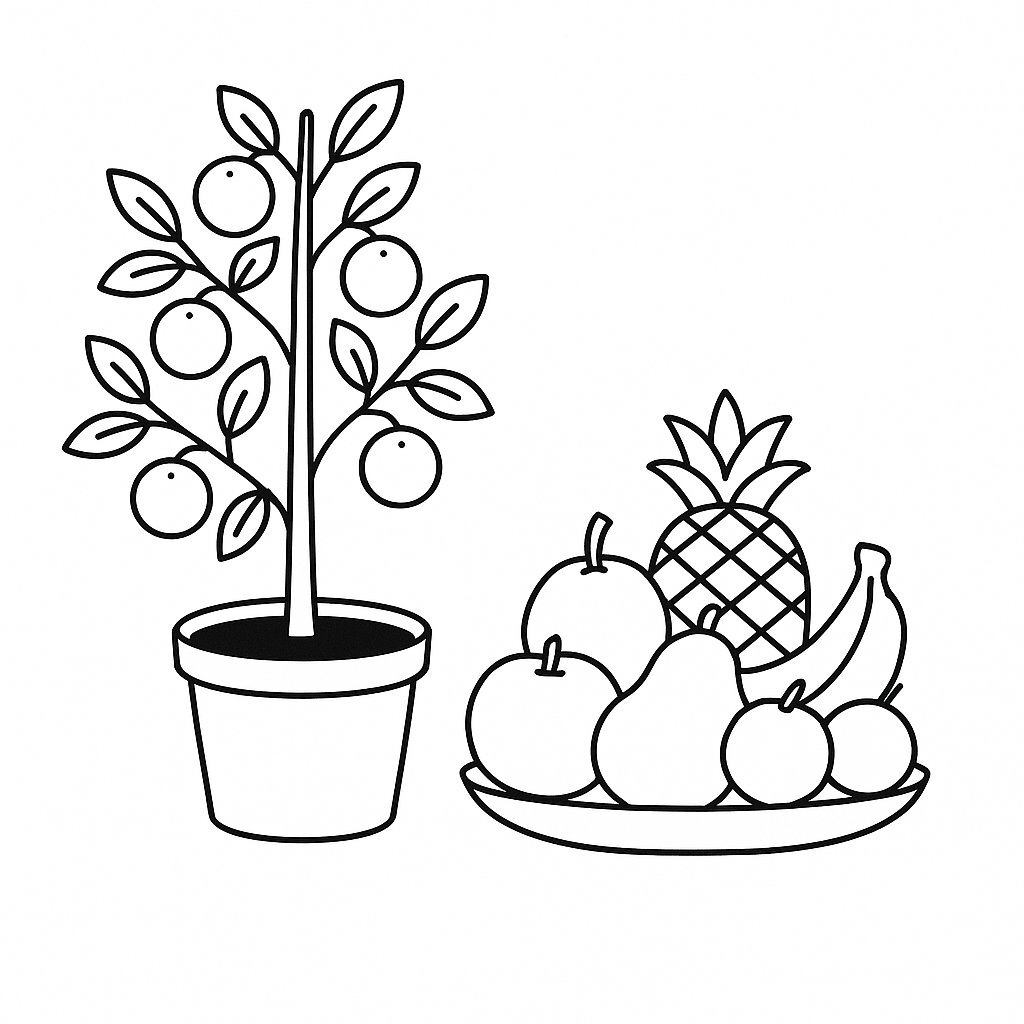 Kumquat Trees and Tet Fruits