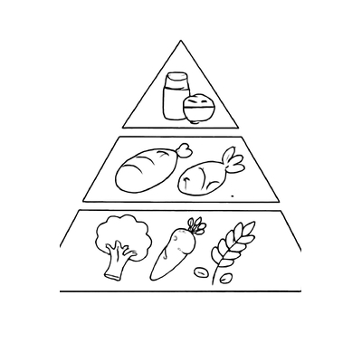 4 Food Groups Coloring Pages 2026 to Help Kids Understand Nutrition