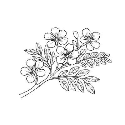 Flamboyant Flower Coloring Pages for Kids – Creative &amp; Beautiful 2026
