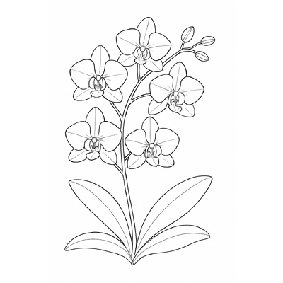 Flowering Trees Coloring Pages 2026 – PDF for Kids