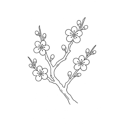 Flowering Trees Coloring Pages 2026 – PDF for Kids