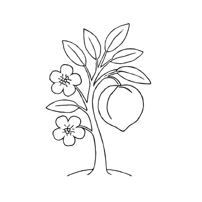 Fruit Trees Coloring Pages 2026 – PDF for Kids