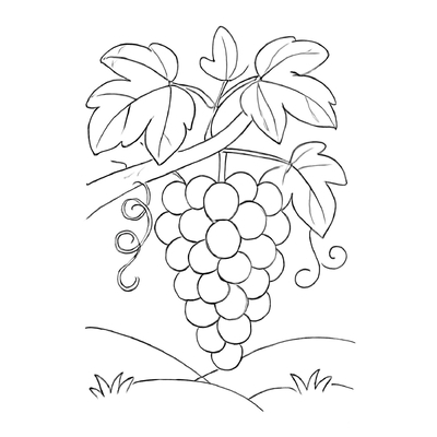 Fruit Trees Coloring Pages 2026 – PDF for Kids