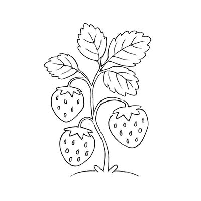 Fruit Trees Coloring Pages 2026 – PDF for Kids