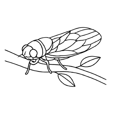 Insect Coloring Pages 2026 – PDF for Kids