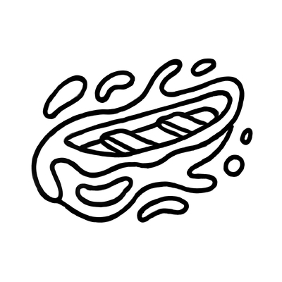 Speedboat Coloring Pages for Kids 2026 – Easy to Color