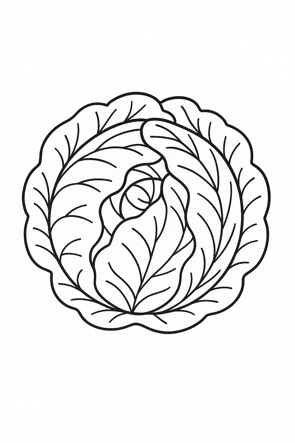 Artistic Purple Cabbage