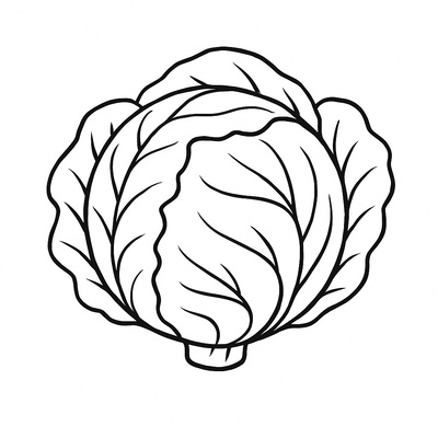 Cute Cabbage Coloring Pages for Kids 2026
