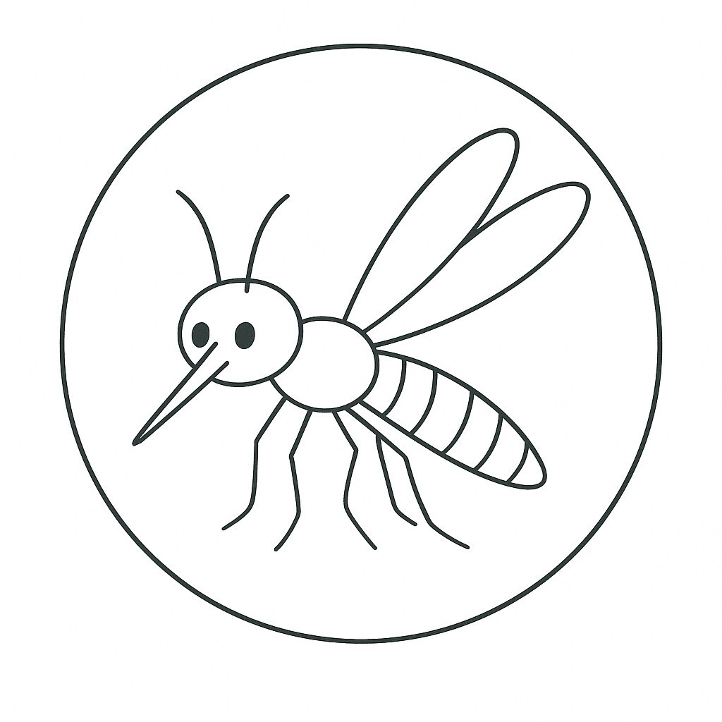 Mosquito Under the Microscope