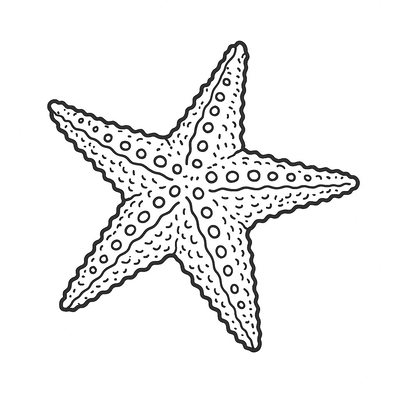 The Most Beautiful and Creative Starfish Coloring Pages for Kids 2026