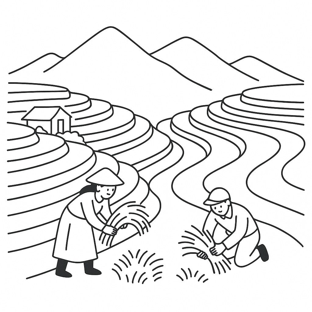 Mu Cang Chai Terraced Fields