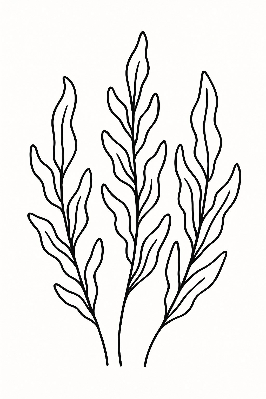 Simple Seaweed