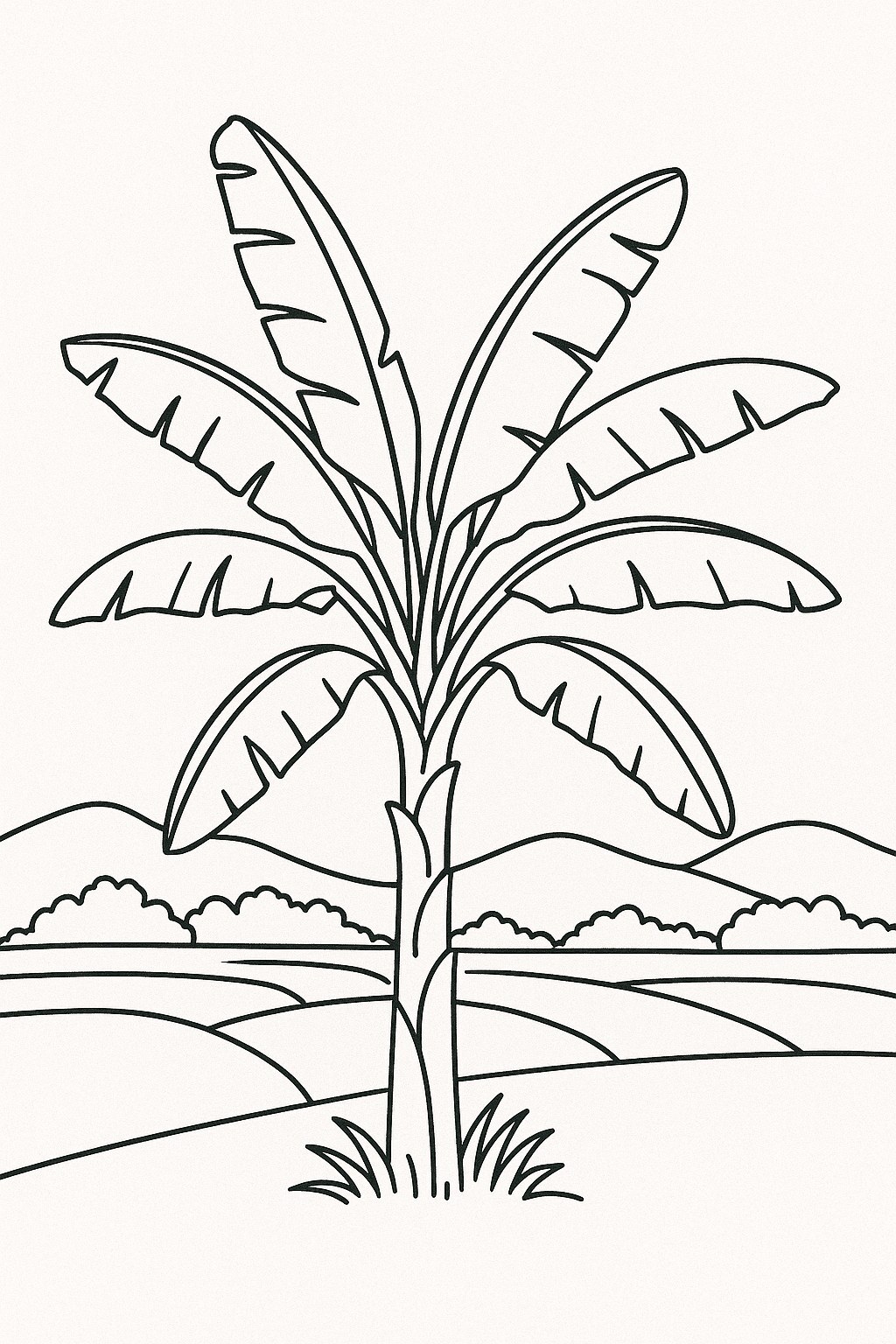 Vietnamese Countryside Banana Tree