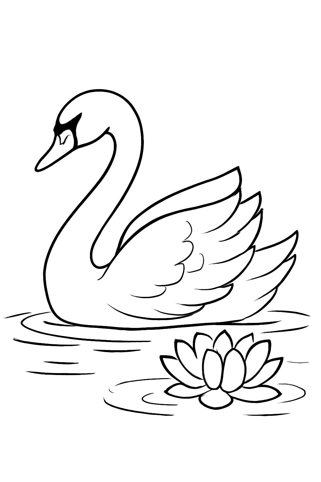 Swan and Lotus