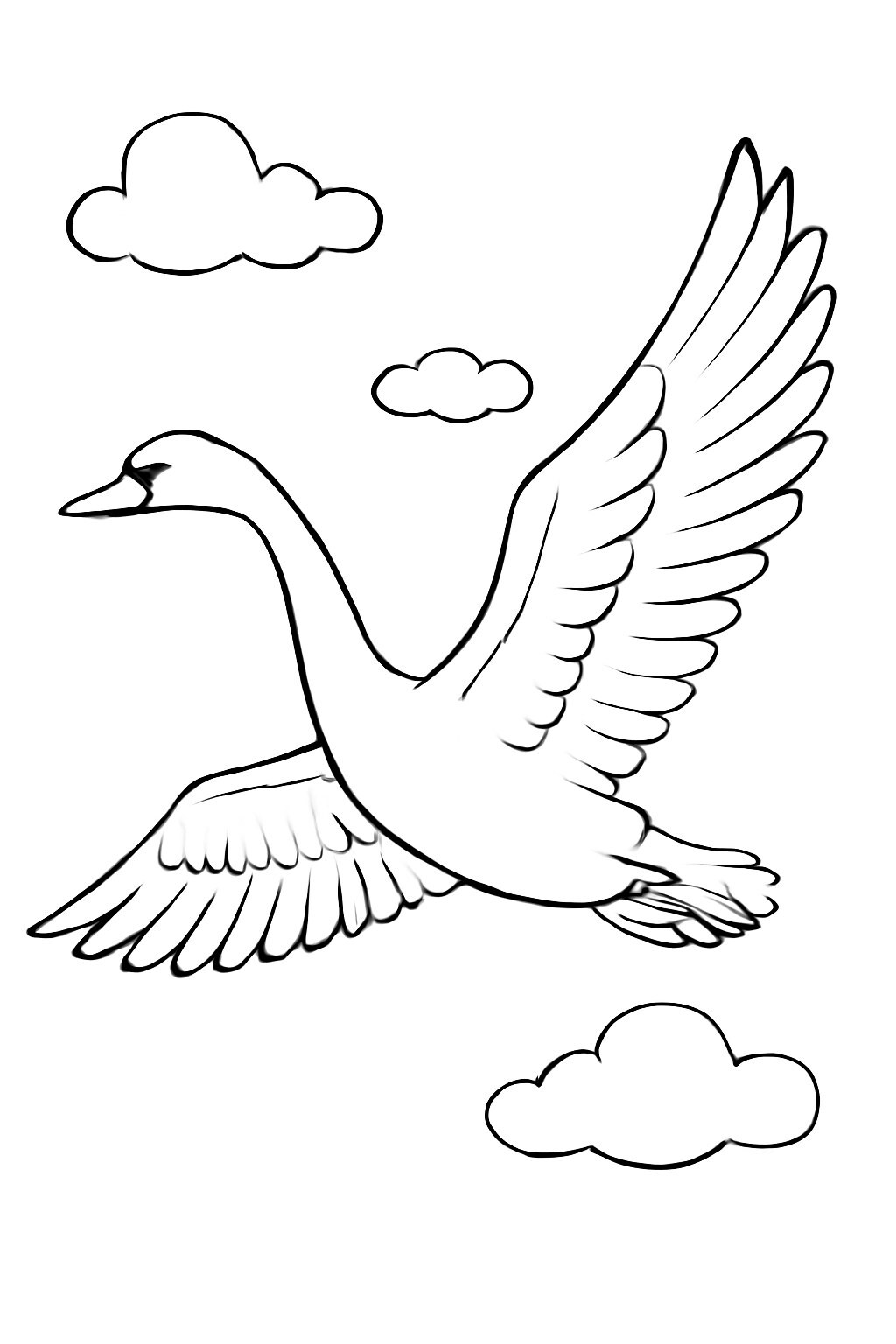 Gliding Swan
