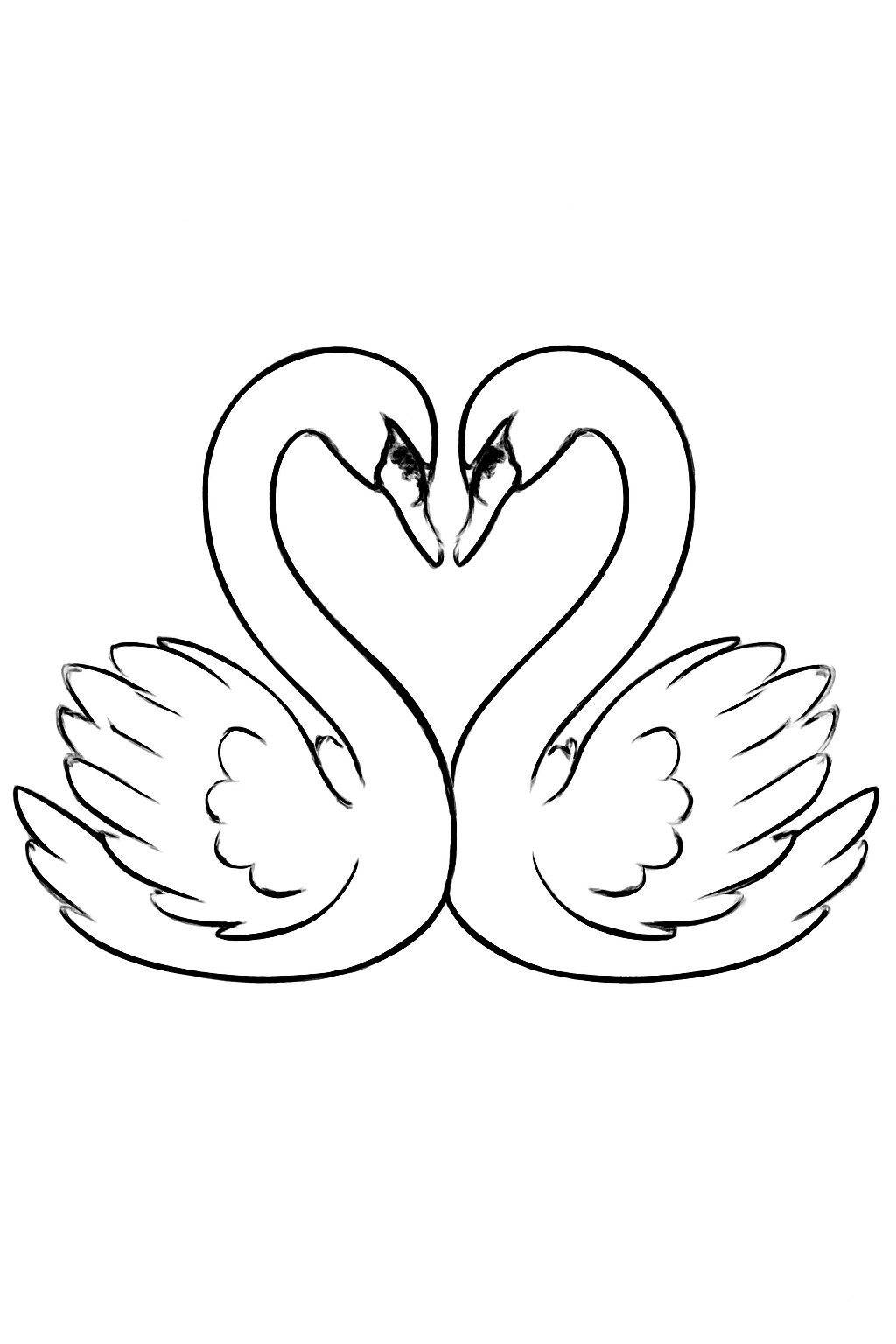 The Swan Pair