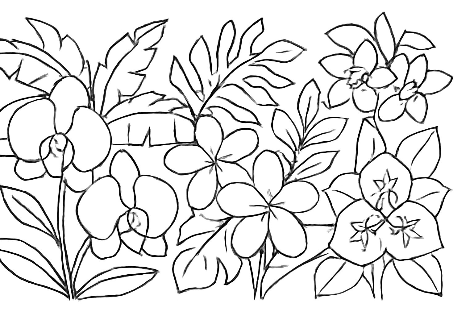 Tropical Flower Garden