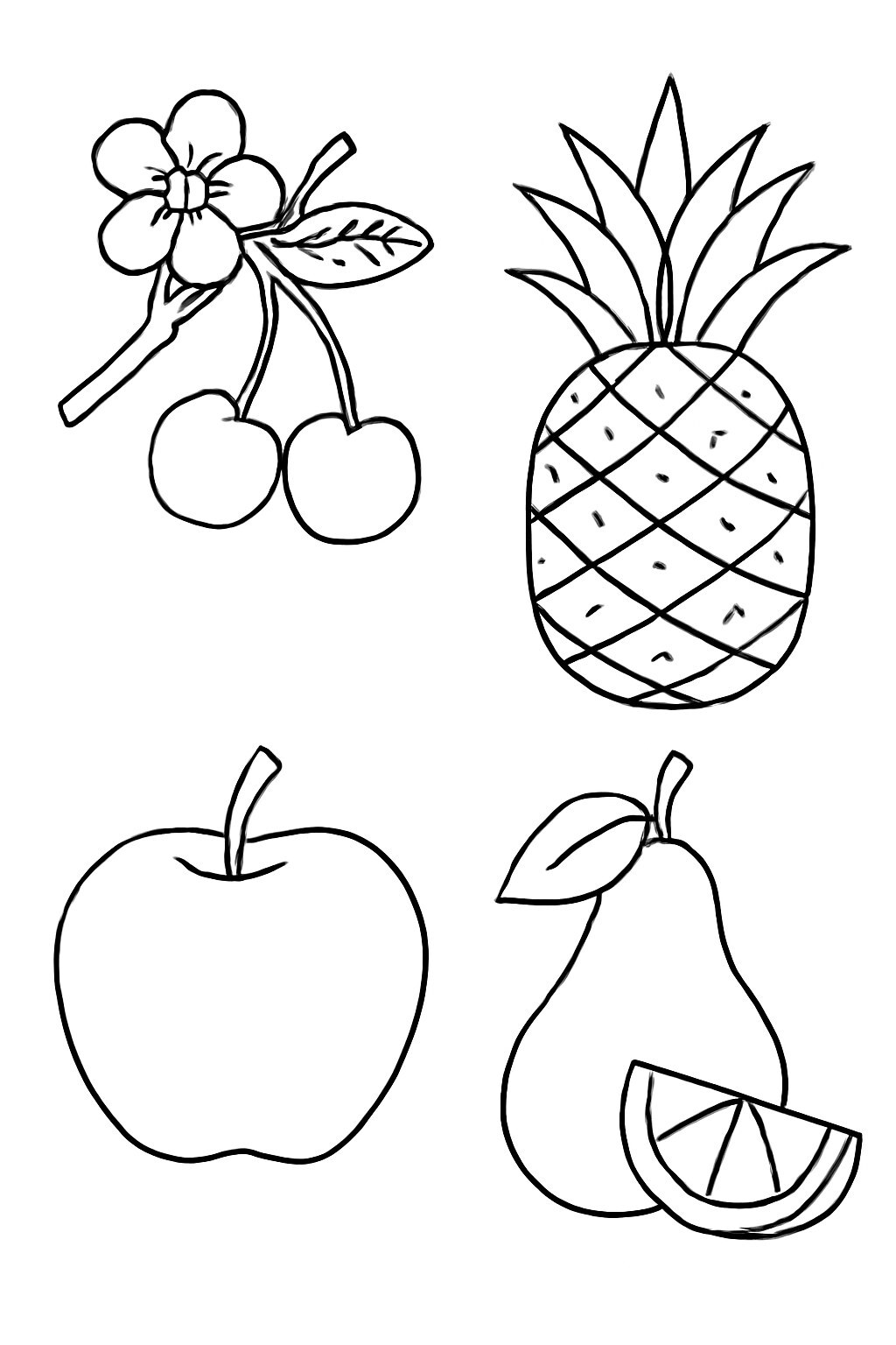 Four Seasons Fruits