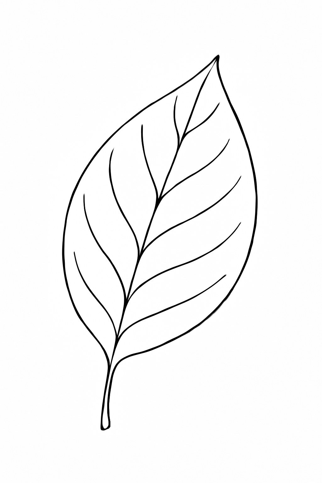 Minimalist Line-Art Leaves