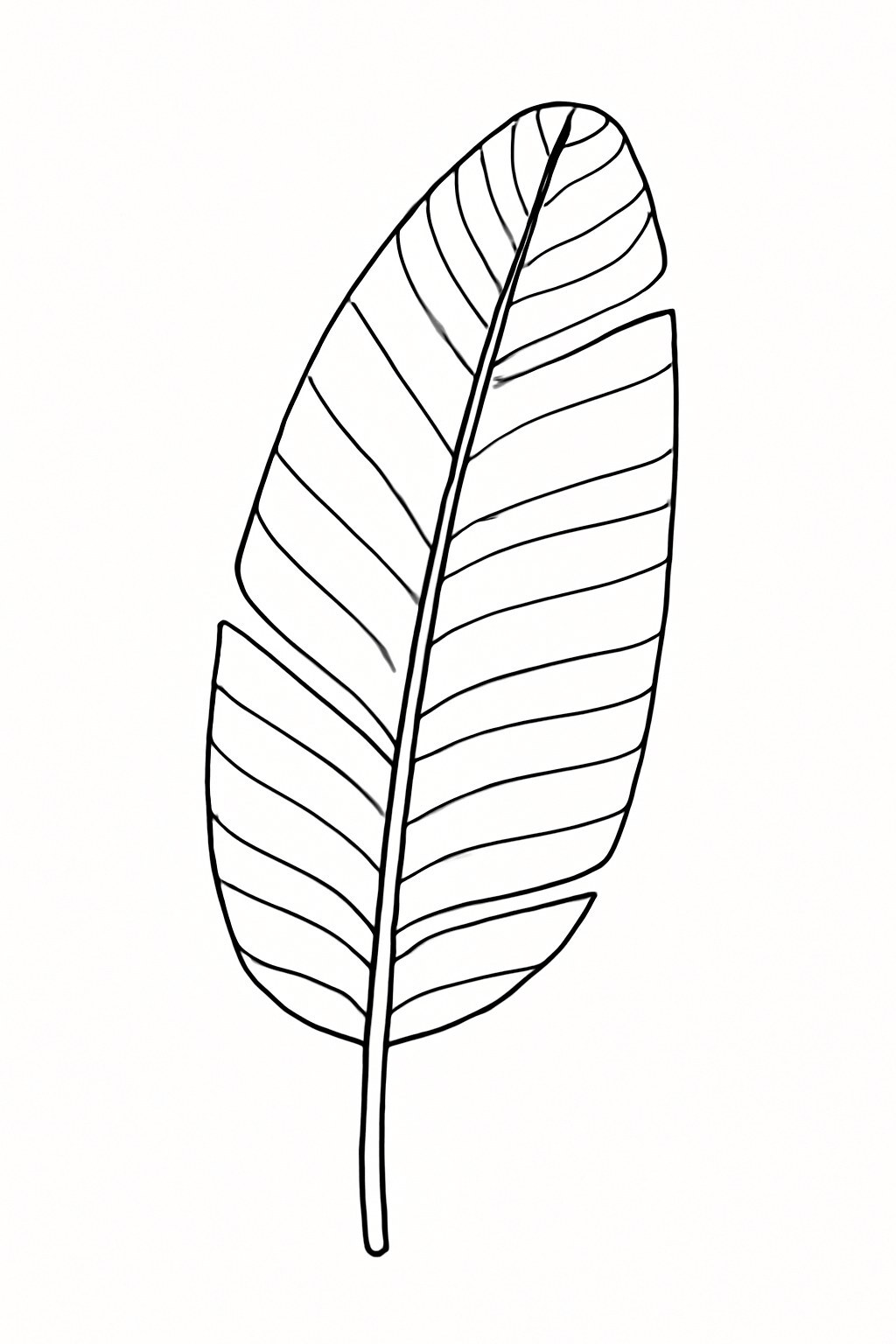 Tropical Leaves