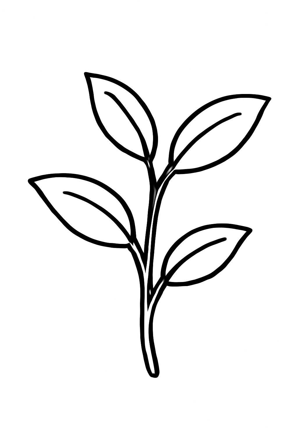 Spring Green Leaves