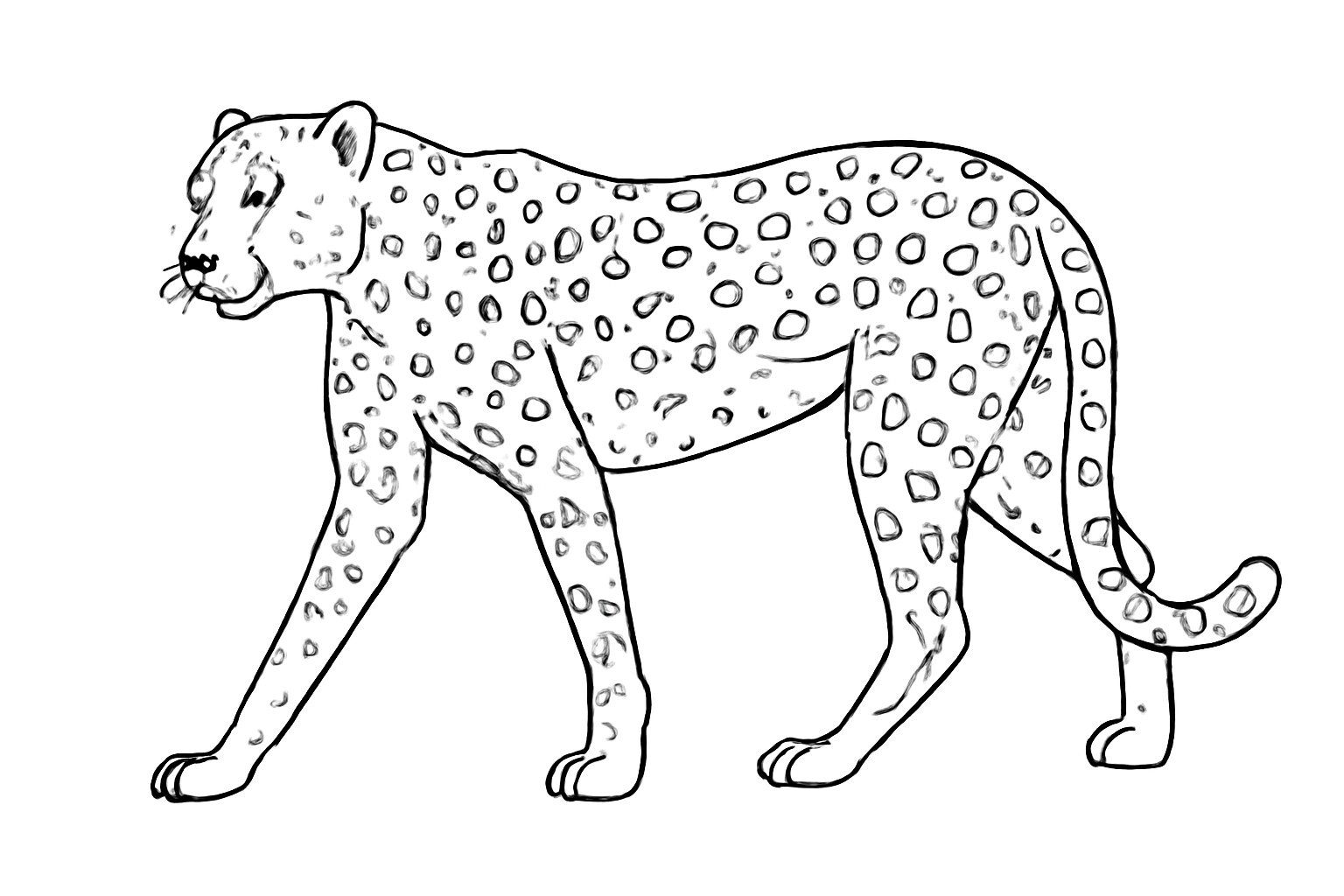 Realistic African Leopard