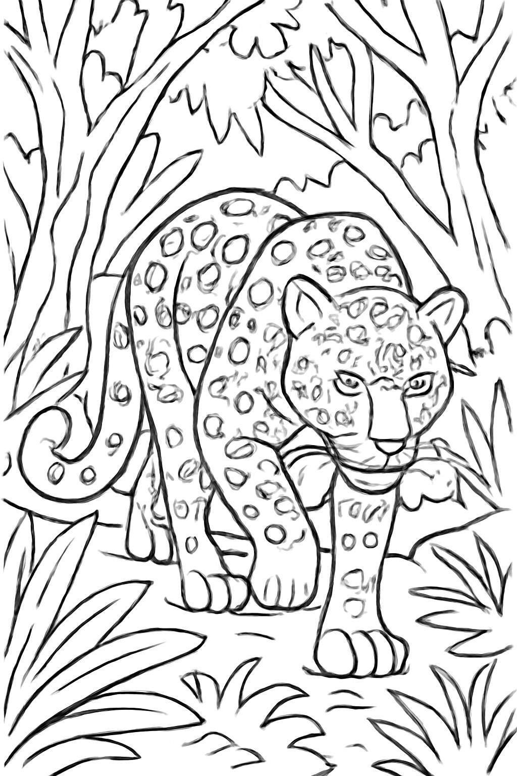 Wild Jungle Leopard