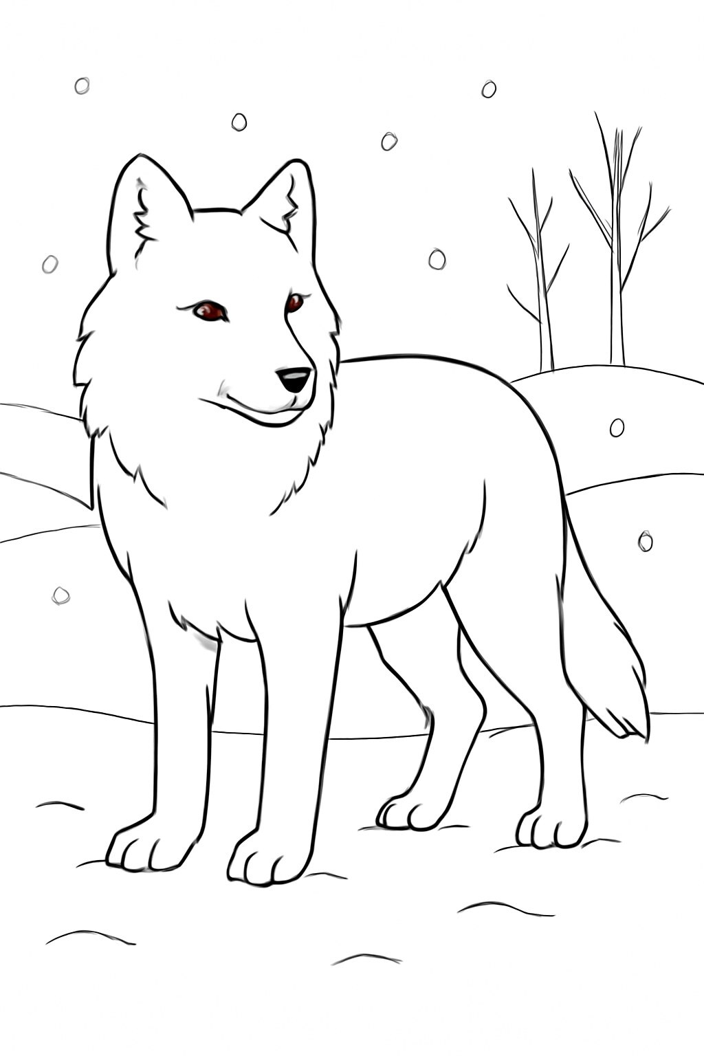 Arctic Wolf