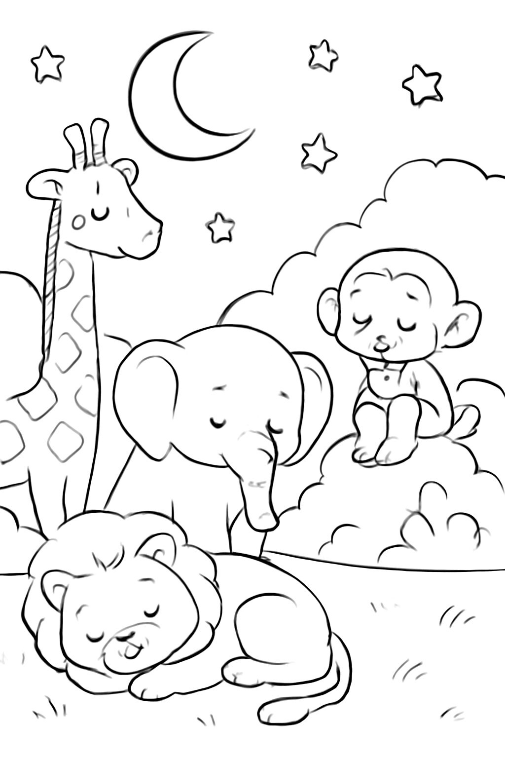 Night Zoo
