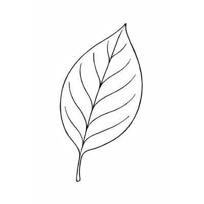 Leaf Coloring Pages for Kids – Cutest Designs 2026