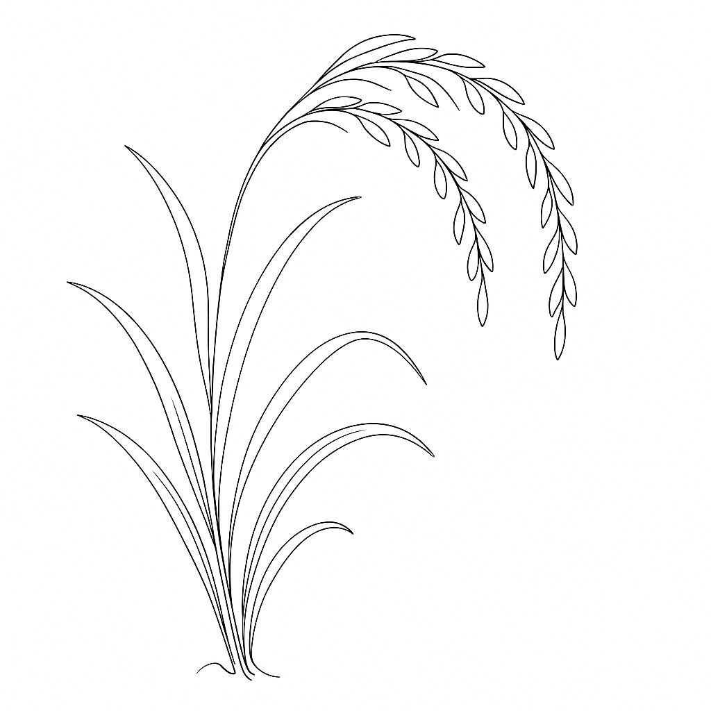 Line Art Style