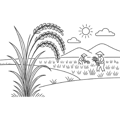Most Beautiful and Easy Rice Plant Coloring Pages for Kids 2026