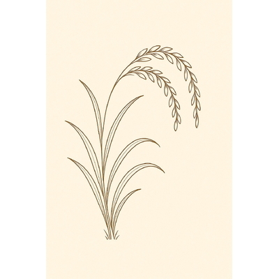 Most Beautiful and Easy Rice Plant Coloring Pages for Kids 2026